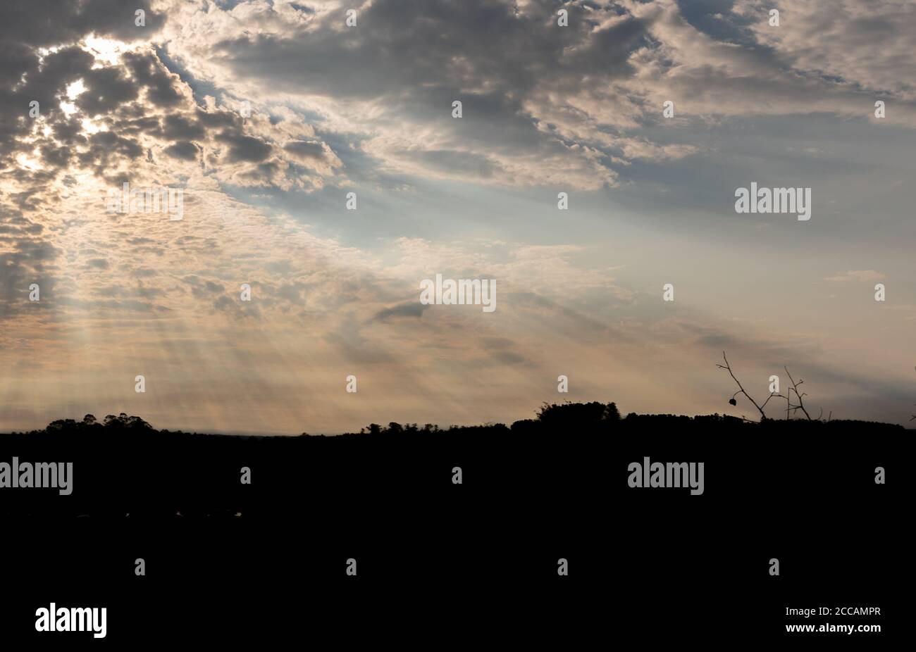 Paesaggio nel tardo pomeriggio con il sole che tramonta sull'orizzonte del bioma di Pampa nel Brasile meridionale. Encerced. Foto Stock