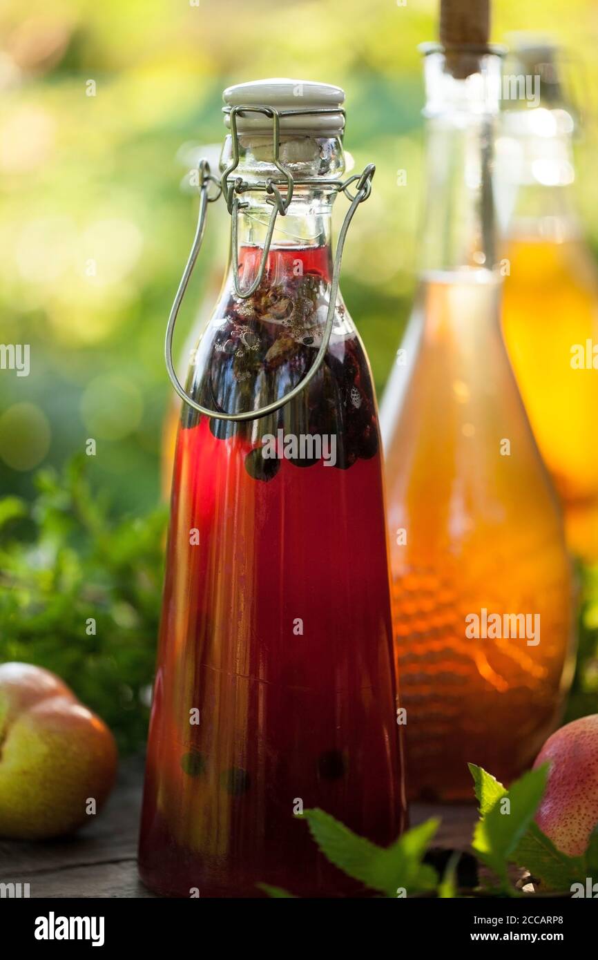 Kombucha secondo tè alla frutta fermentato con aromi diversi. Bevanda sana al gusto probiotico naturale Foto Stock