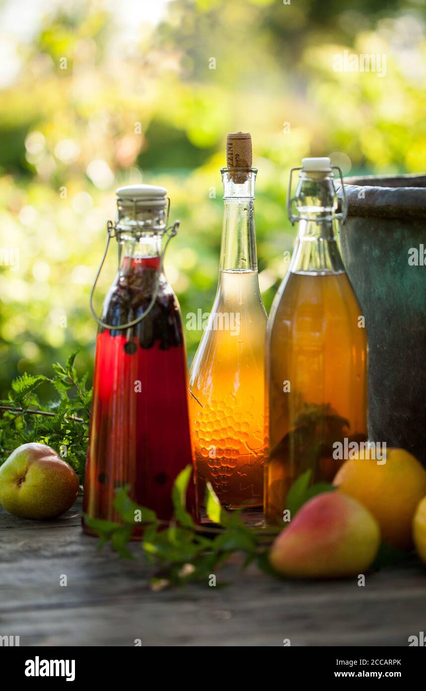 Kombucha secondo tè alla frutta fermentato con aromi diversi. Bevanda sana al gusto probiotico naturale Foto Stock