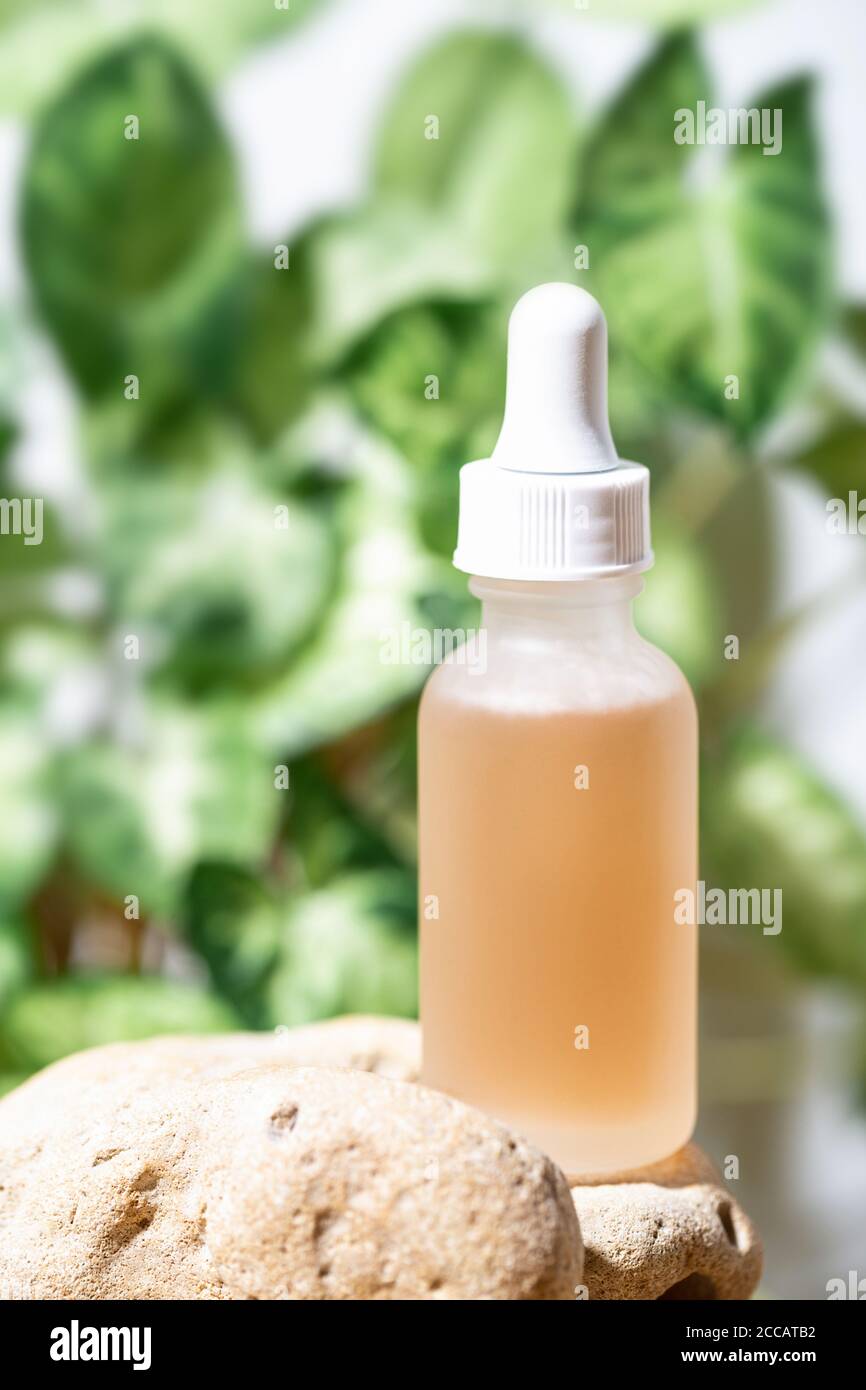 Flacone trasparente con liquido cosmetico su pietra su fondo verde. Foto Stock