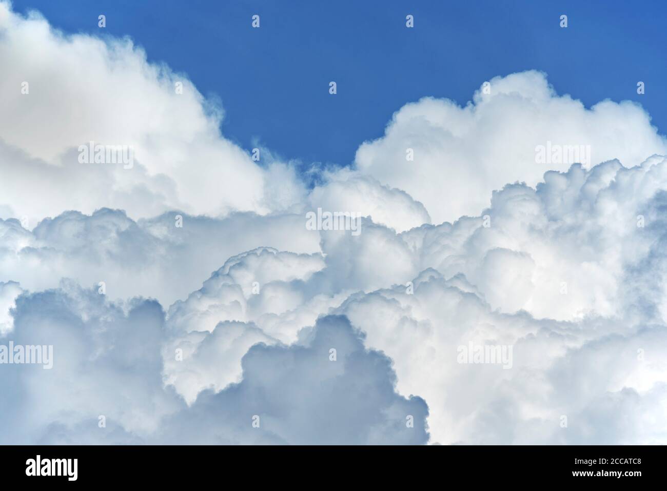 Sviluppo di Cumulus congestus nuvola conosciuta anche come torreggianti cumuli nuvole in un caldo giorno di tugndry in estate durante l'onda di calore / onda di calore Foto Stock