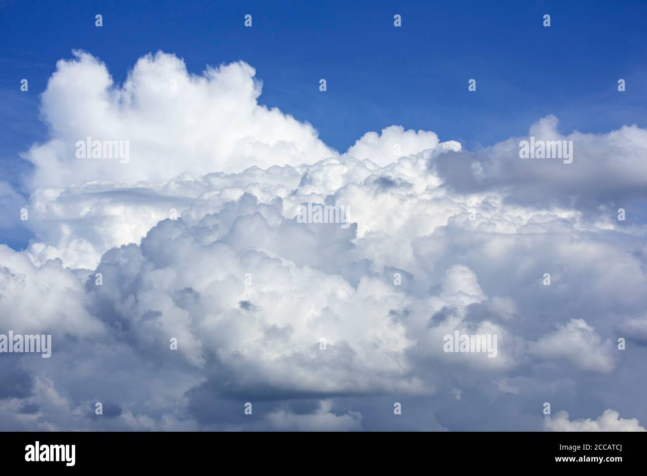 Sviluppo di Cumulus congestus nuvola conosciuta anche come torreggianti cumuli nuvole in un caldo giorno di tugndry in estate durante l'onda di calore / onda di calore Foto Stock