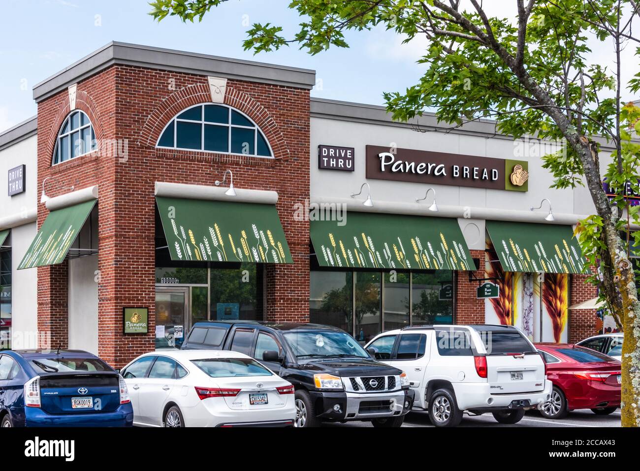 Pane Panera a Snellville (Metro Atlanta), Georgia. (STATI UNITI) Foto Stock