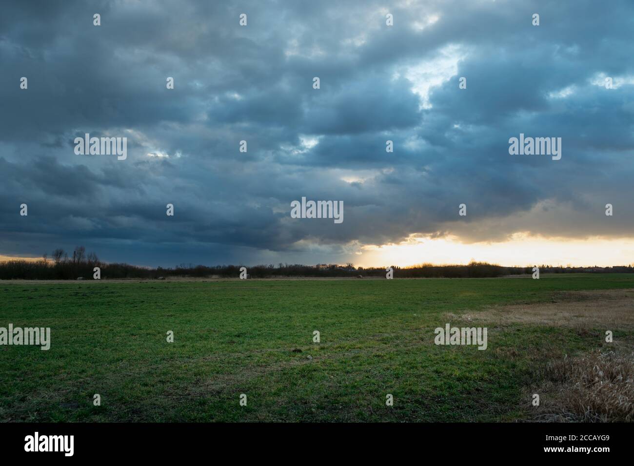 Nuvola piovosa scura su un prato verde Foto Stock