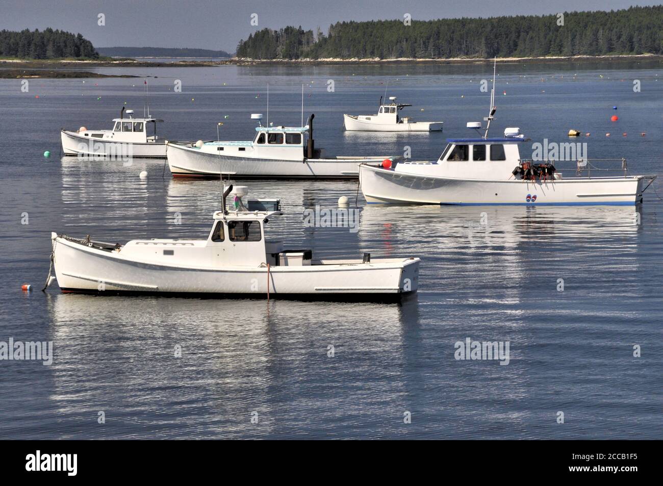 Tranquilla scena costiera. Flotta di barche bianche di aragosta ancorate in calmo baia vicino a South Thomaston Maine con riflessioni barca sull'acqua. Foto Stock