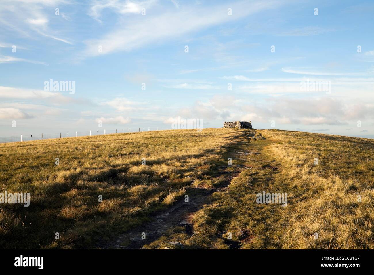 La Via Pennine che conduce alla vetta del Grande Shunner cadde, Yorkshire Dales, Regno Unito Foto Stock