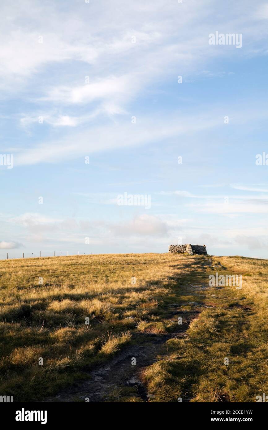 La Via Pennine che conduce alla vetta del Grande Shunner cadde, Yorkshire Dales, Regno Unito Foto Stock