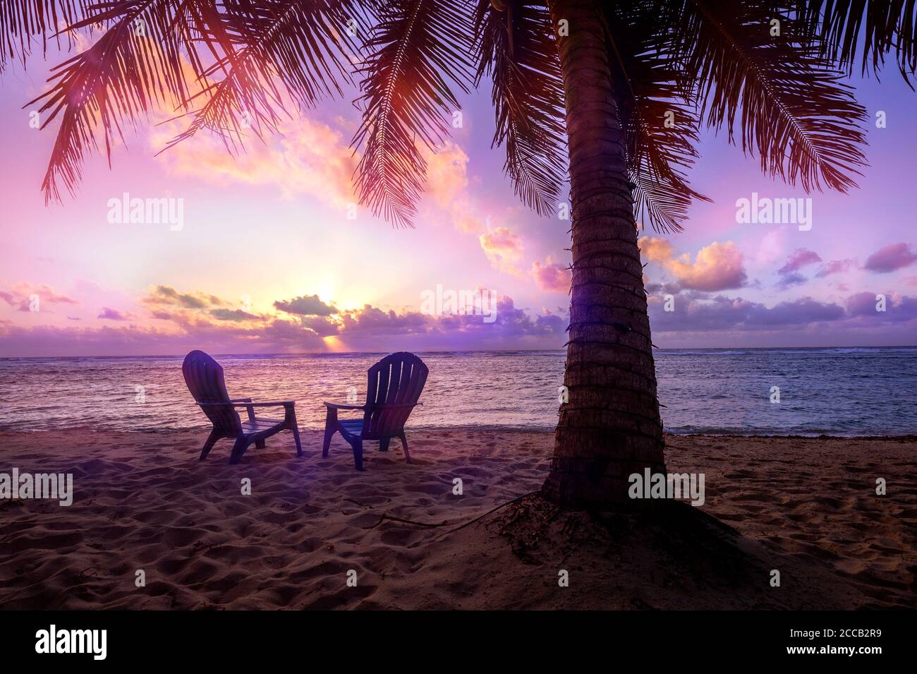 Sedie da spiaggia con palme al tramonto - ritiro perfetto! Foto Stock