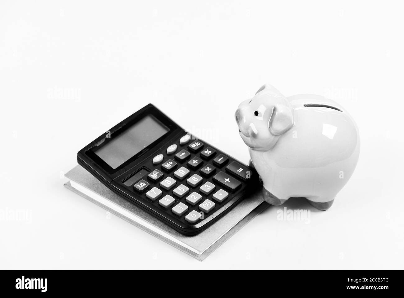 Relazione finanziaria. Costruzione di gestire e conservare la tua ricchezza. Salvadanaio di risparmio di denaro. Unione di credito concetto. Aiuto finanziario per i servizi. Il sostegno finanziario di consulenza. Corsi di alfabetizzazione finanziaria. Foto Stock