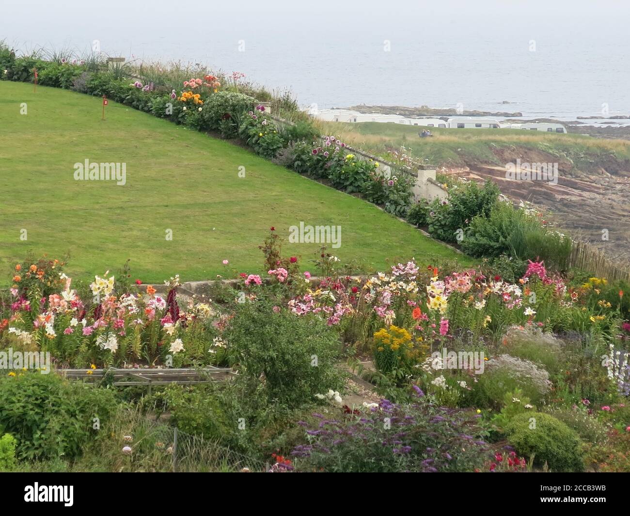 Un glorioso giardino sul mare pieno di colori estivi, adiacente al sentiero costiero presso il grazioso villaggio di pescatori Fife di Caal sulla costa orientale della Scozia. Foto Stock