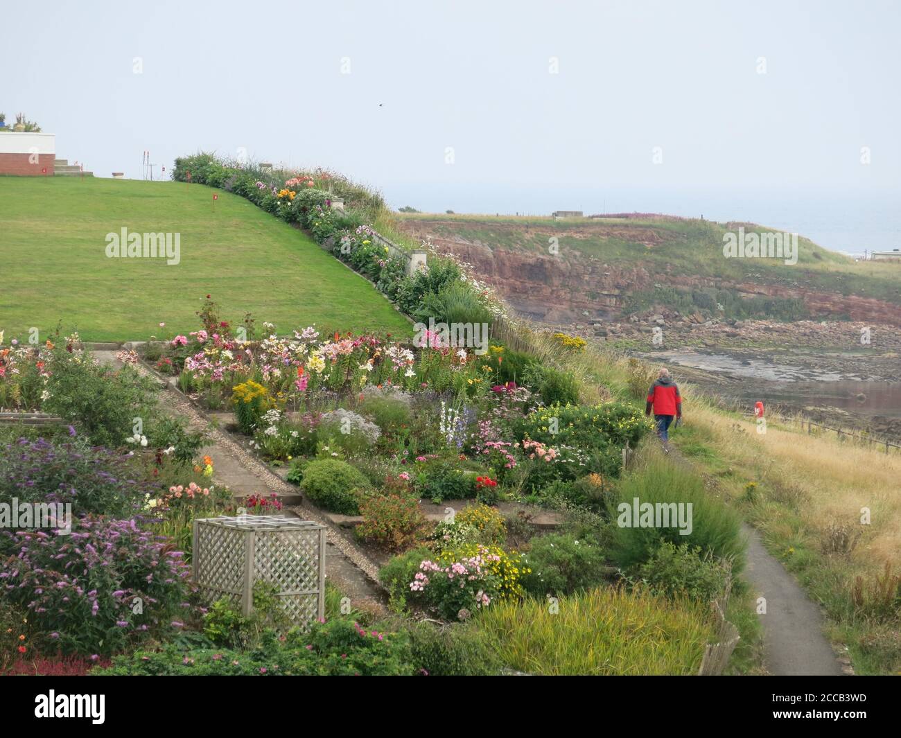 Un glorioso giardino sul mare pieno di colori estivi, adiacente al sentiero costiero presso il grazioso villaggio di pescatori Fife di Caal sulla costa orientale della Scozia. Foto Stock