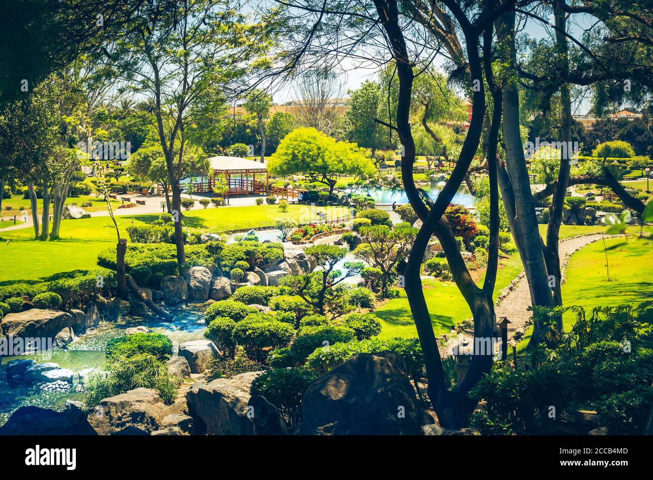 Bellissimo giardino giapponese con ruscello a la Serena, Cile Foto Stock