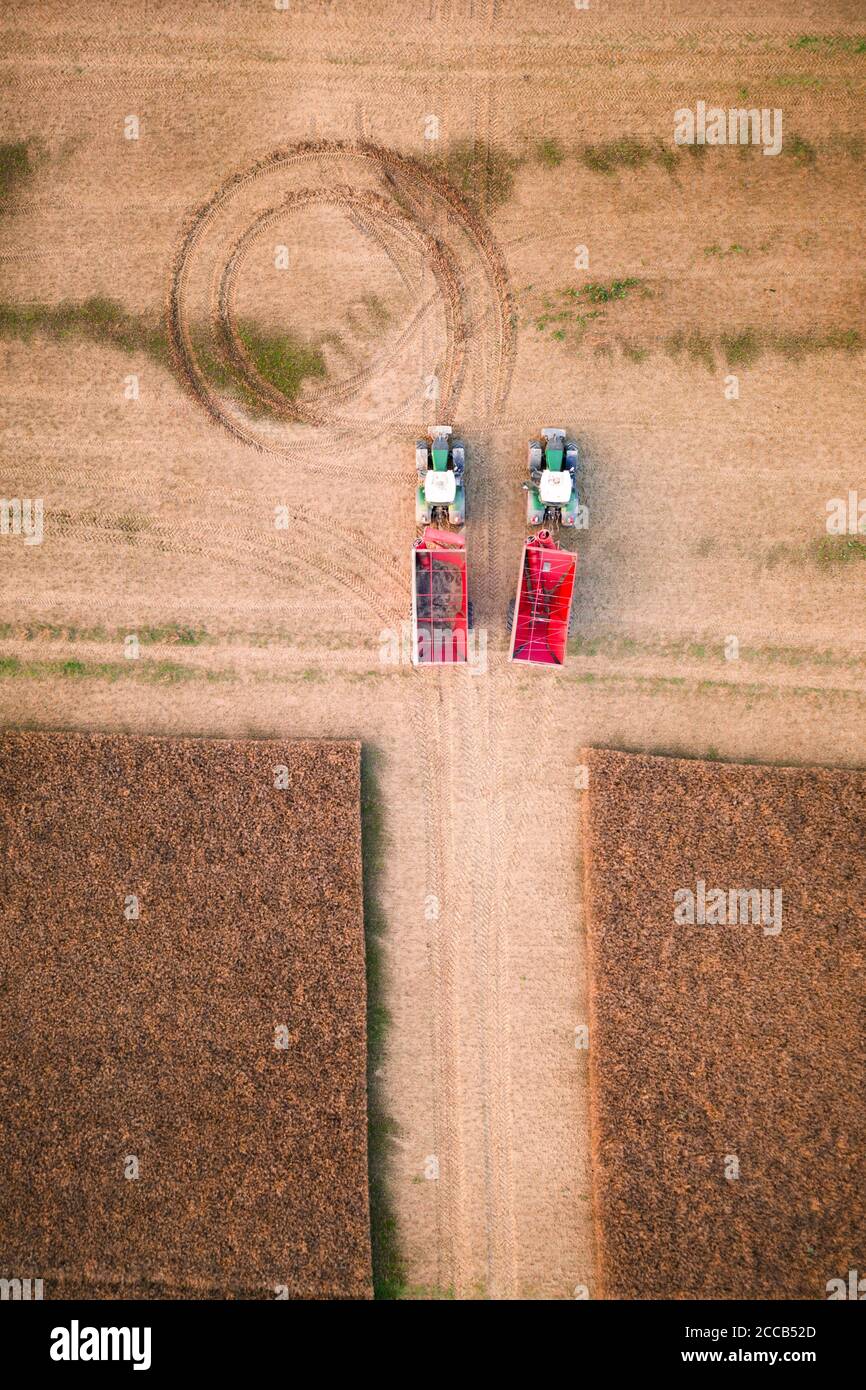 Due trattori rossi in un campo di grano durante la mietitura in attesa della mietitrebbia. Vista dall'alto dell'antenna Foto Stock