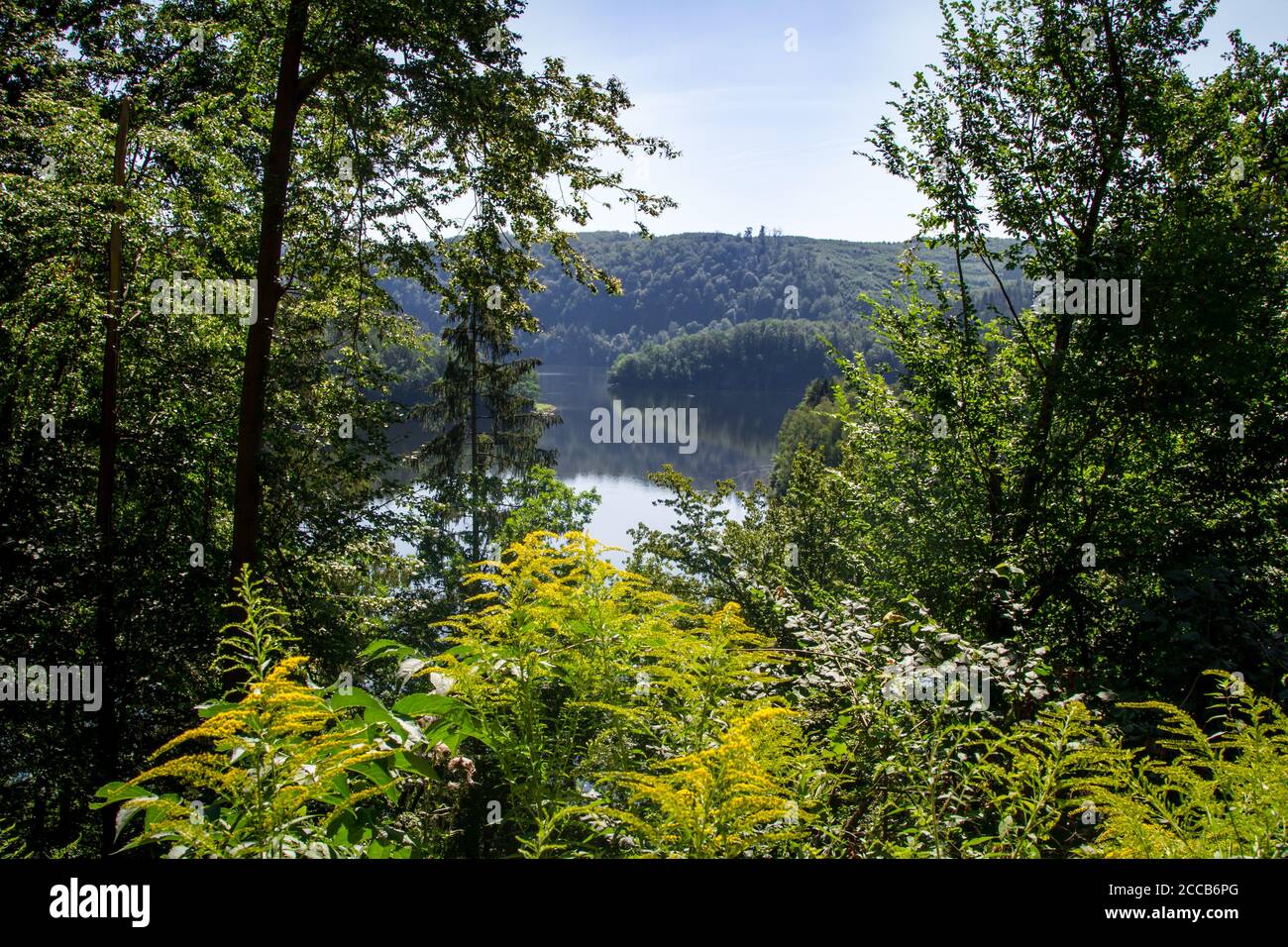 Lago artificiale di Dobra, Kamptal-Seenweg 620, escursioni nei pressi del lago artificiale di Dobra, Waldviertel, Austria Foto Stock