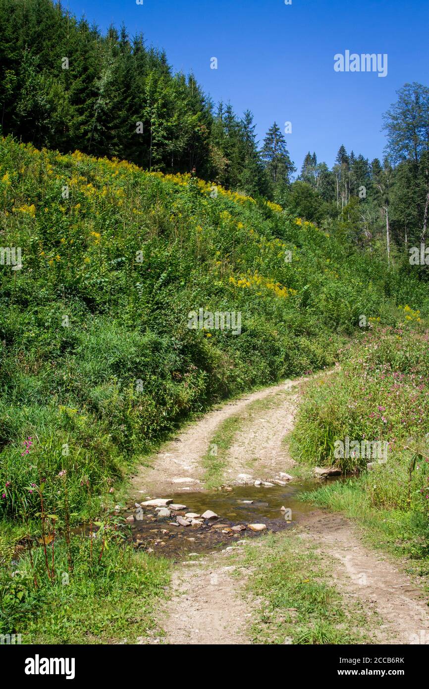 Piccolo torrente, Kamptal-Seenweg 620, escursioni nei pressi del lago artificiale di Dobra, Waldviertel, Austria Foto Stock