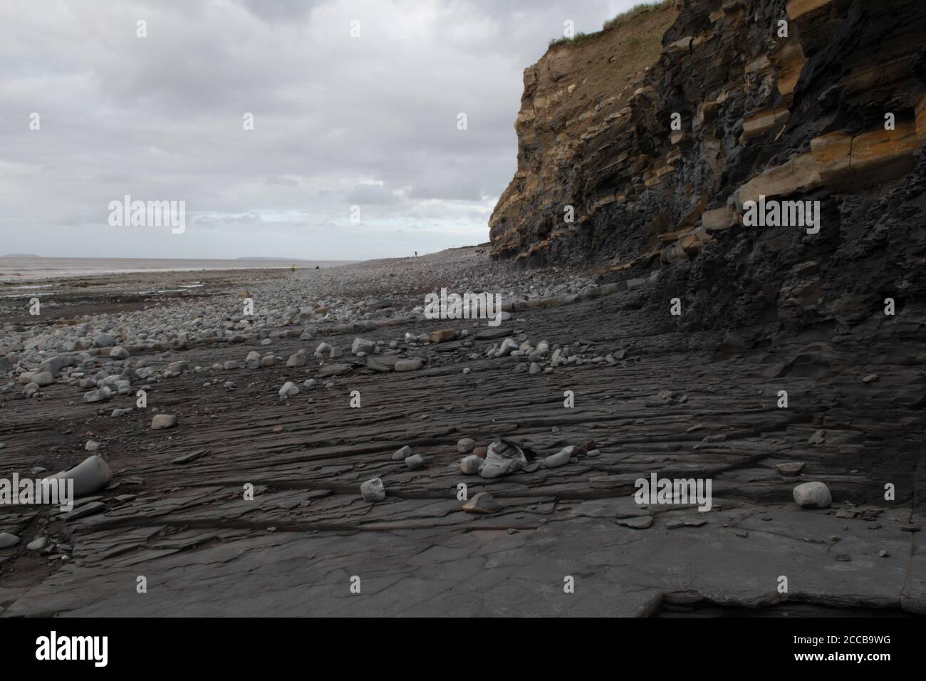 Formazioni geologiche su Kilve Beach, Somerset, Regno Unito Foto Stock