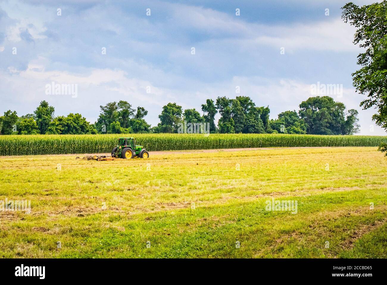 Trattore agricolo soleggiato di giorno estivo nel campo che raccoglie i raccolti vista panoramica Foto Stock
