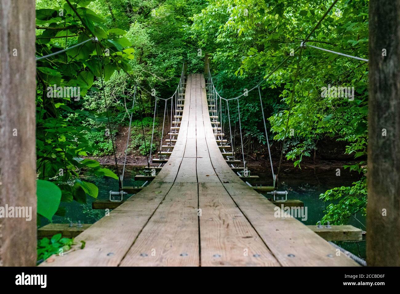 Scenografico ponte sospeso vuoto nel mezzo della foresta nessuno intorno al percorso vuoto Foto Stock