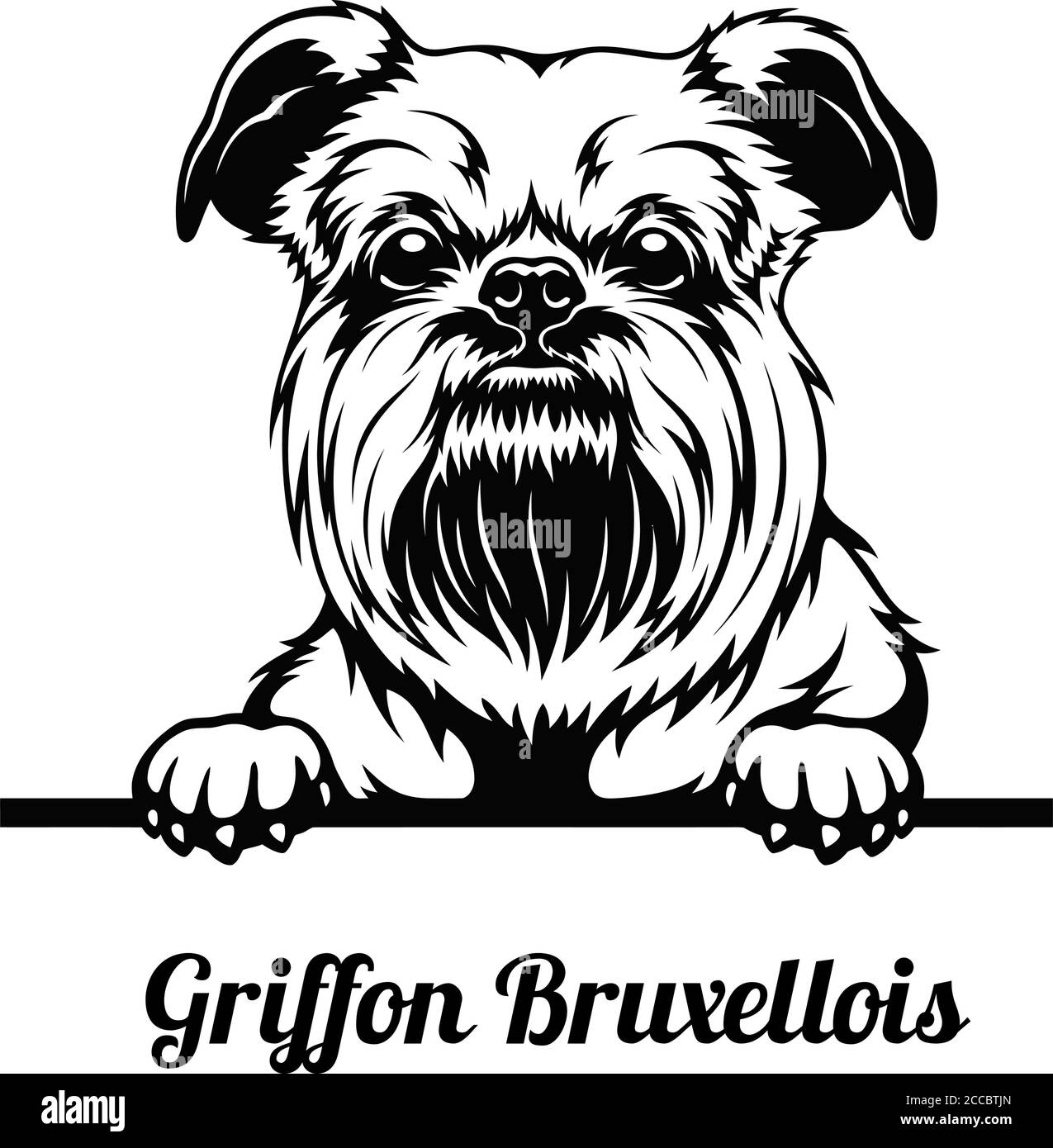 Cane da peeking - razza Bruxellois Griffon - testa isolata bianco Illustrazione Vettoriale