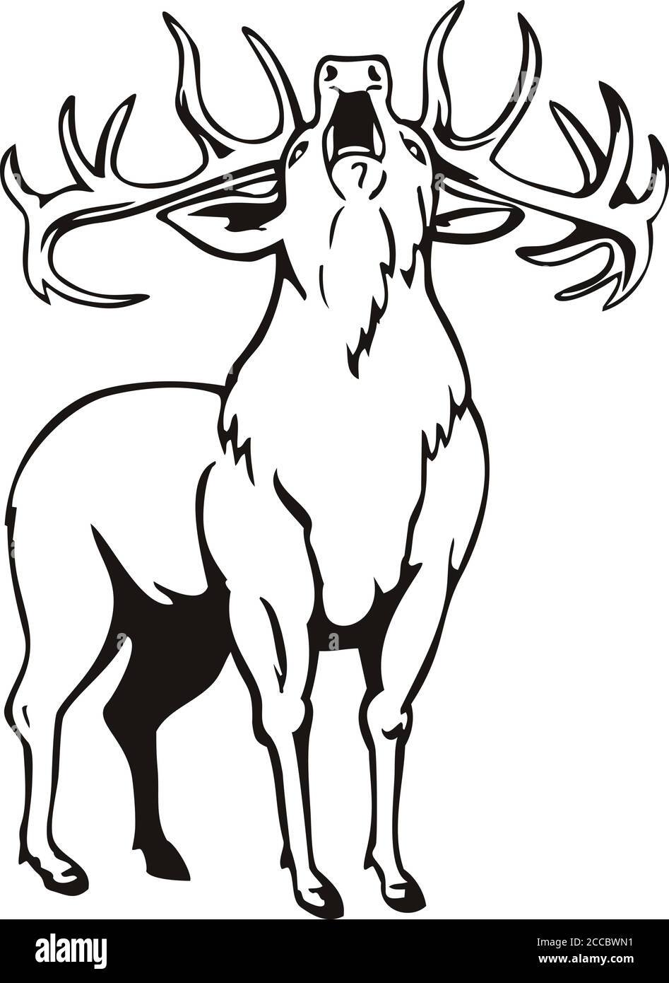 Stencil illustrazione di UN cervo rosso Cervus elaphus, una delle più grandi specie di cervo, arrostito visto dal fronte su sfondo isolato fatto in nero e. Illustrazione Vettoriale