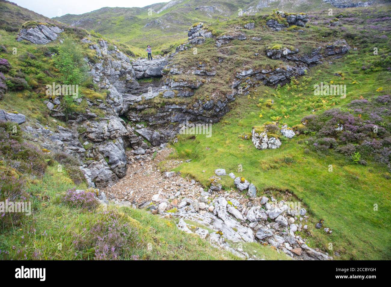 Paesaggio carsico nella valle del Traligill. Sistemi imbricati sotto Conival nel culmine Assynt. Foto Stock