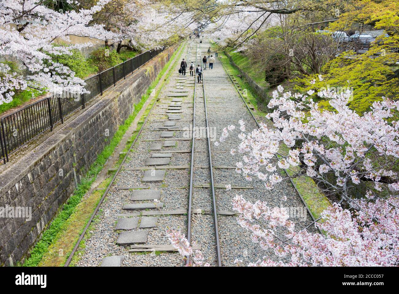 Fioritura dei ciliegi lungo il sito di Keage Incline a Kyoto, Giappone. Keage Incline è uno dei posti migliori per godersi la stagione della fioritura dei ciliegi a Kyoto. Foto Stock