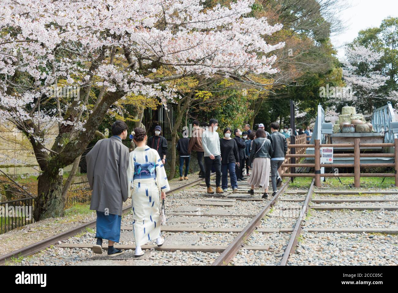 Fioritura dei ciliegi lungo il sito di Keage Incline a Kyoto, Giappone. Keage Incline è uno dei posti migliori per godersi la stagione della fioritura dei ciliegi a Kyoto. Foto Stock