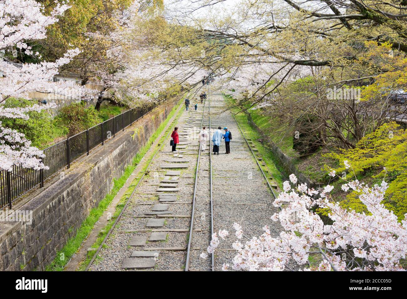 Fioritura dei ciliegi lungo il sito di Keage Incline a Kyoto, Giappone. Keage Incline è uno dei posti migliori per godersi la stagione della fioritura dei ciliegi a Kyoto. Foto Stock