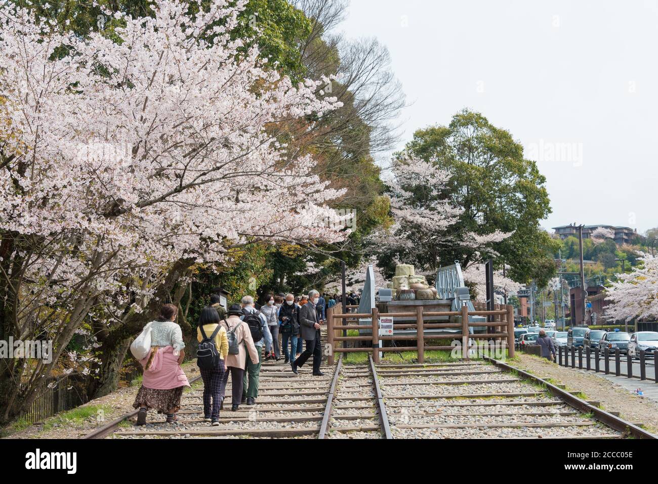 Fioritura dei ciliegi lungo il sito di Keage Incline a Kyoto, Giappone. Keage Incline è uno dei posti migliori per godersi la stagione della fioritura dei ciliegi a Kyoto. Foto Stock