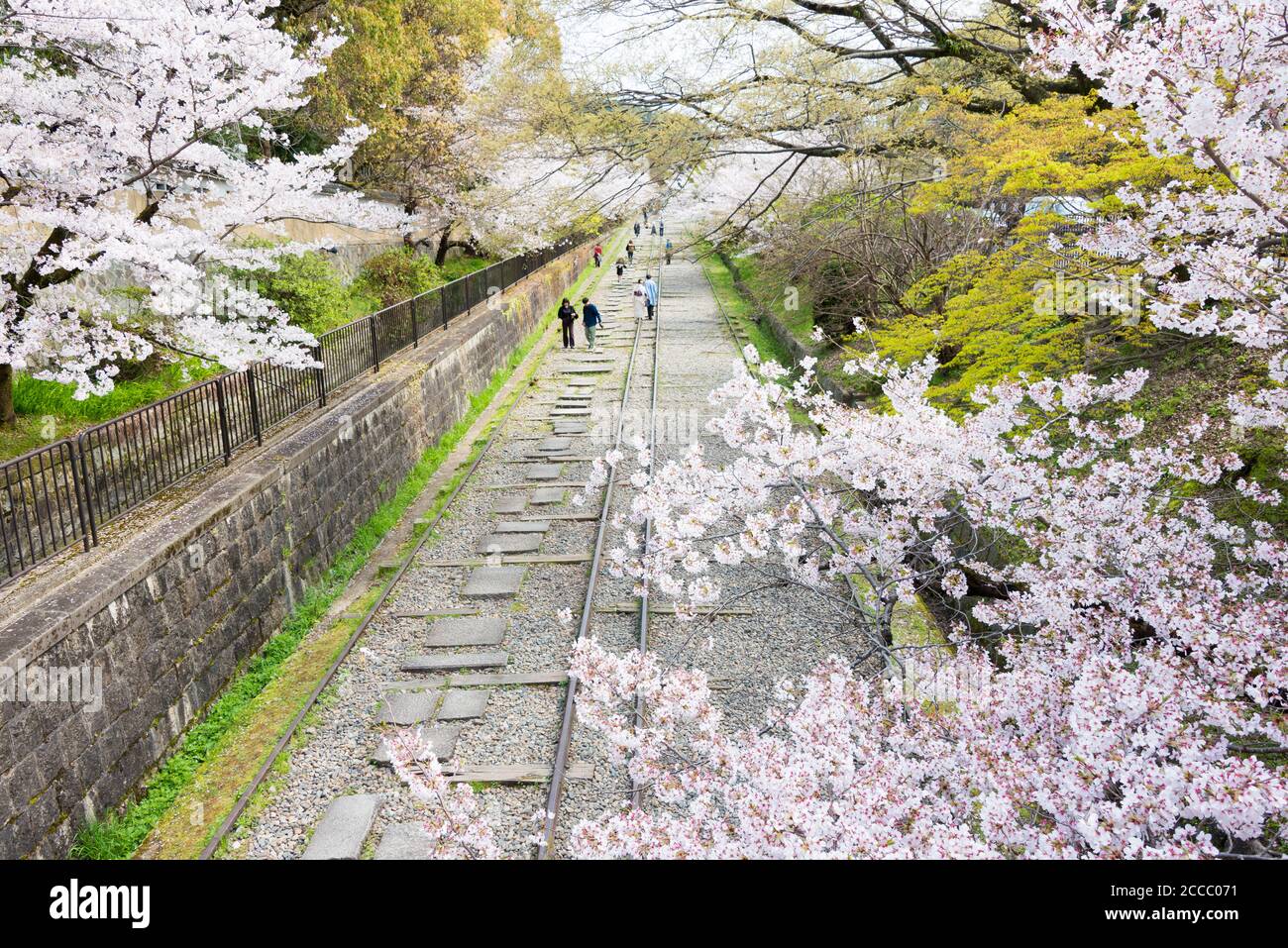 Fioritura dei ciliegi lungo il sito di Keage Incline a Kyoto, Giappone. Keage Incline è uno dei posti migliori per godersi la stagione della fioritura dei ciliegi a Kyoto. Foto Stock