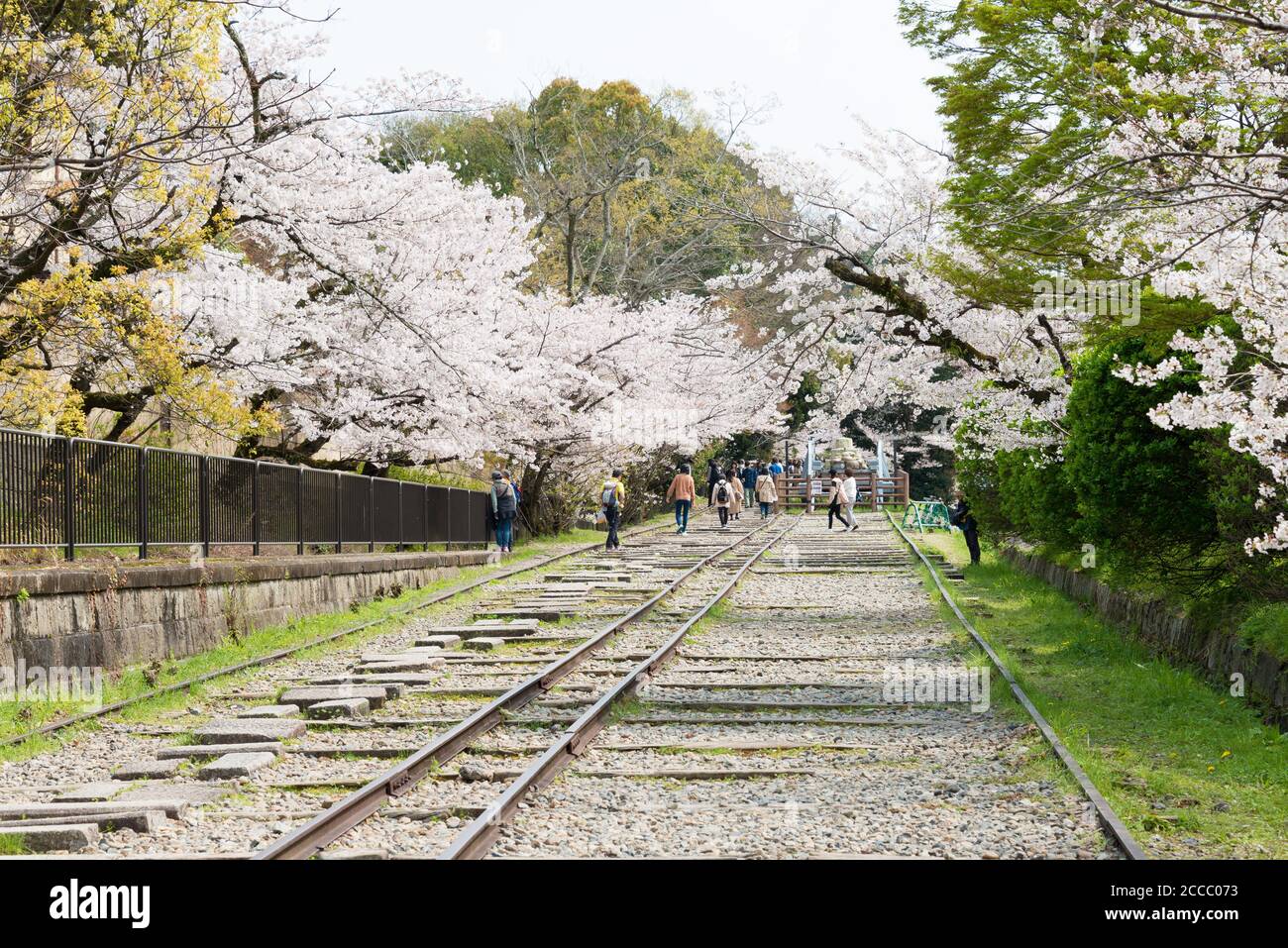 Fioritura dei ciliegi lungo il sito di Keage Incline a Kyoto, Giappone. Keage Incline è uno dei posti migliori per godersi la stagione della fioritura dei ciliegi a Kyoto. Foto Stock