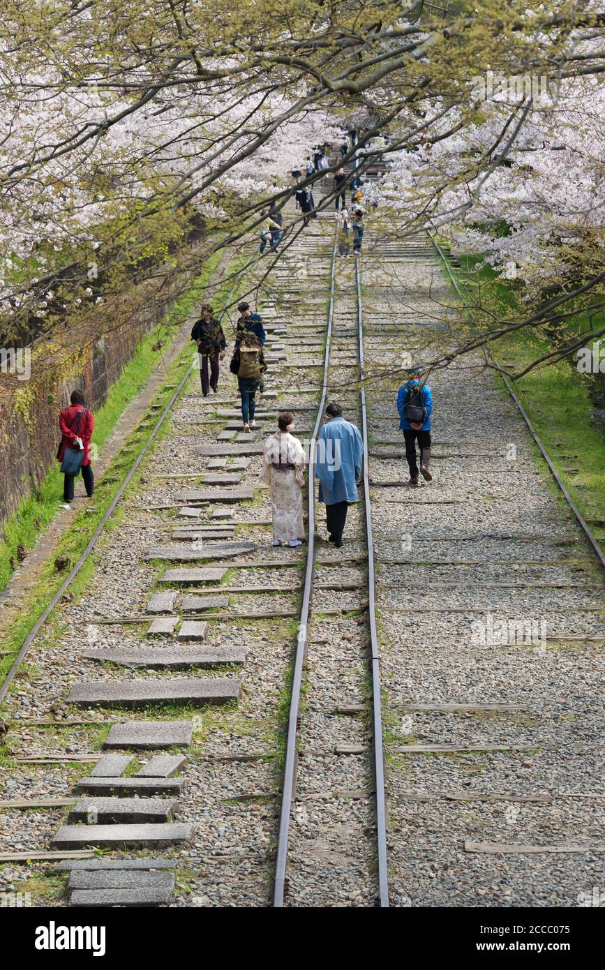 Fioritura dei ciliegi lungo il sito di Keage Incline a Kyoto, Giappone. Keage Incline è uno dei posti migliori per godersi la stagione della fioritura dei ciliegi a Kyoto. Foto Stock