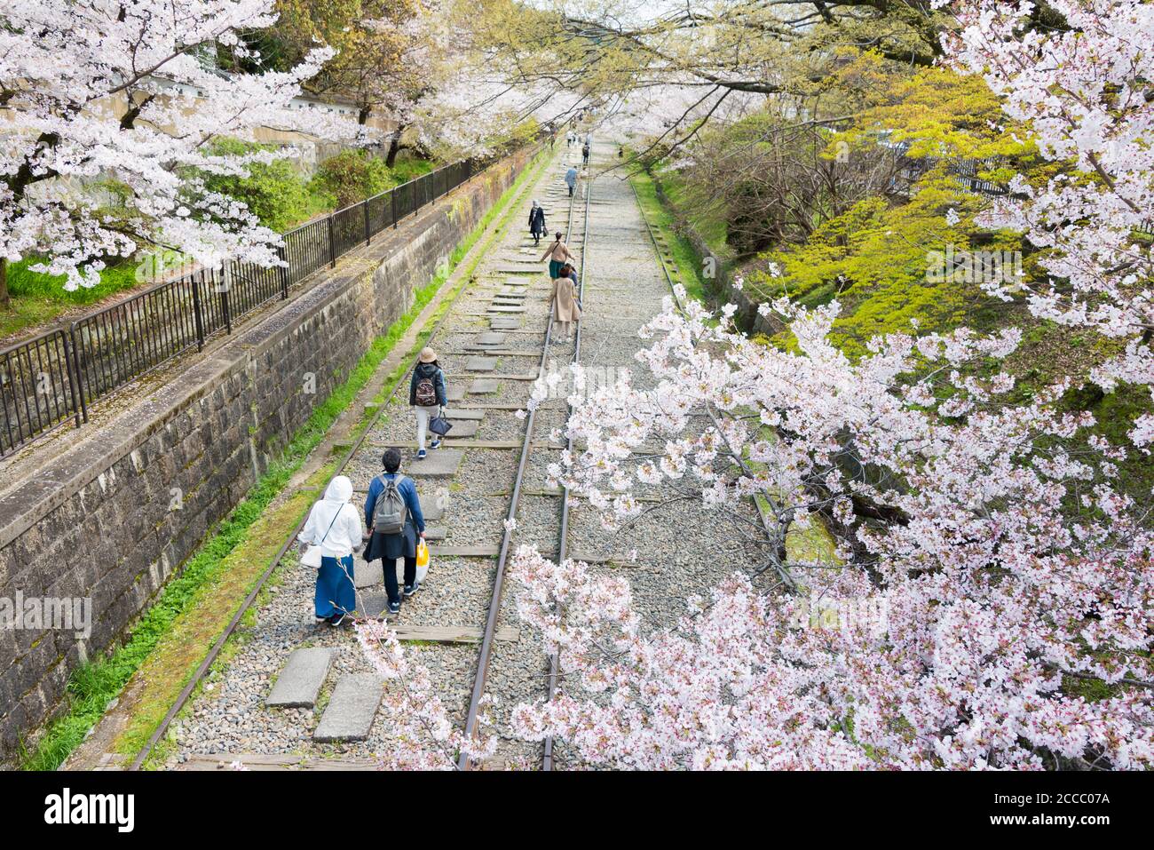 Fioritura dei ciliegi lungo il sito di Keage Incline a Kyoto, Giappone. Keage Incline è uno dei posti migliori per godersi la stagione della fioritura dei ciliegi a Kyoto. Foto Stock
