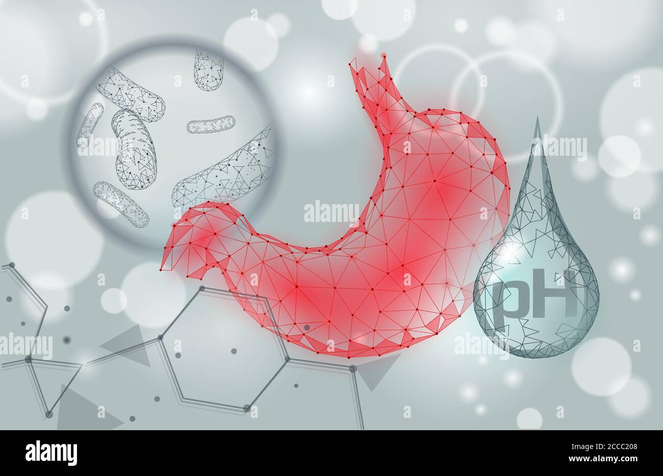 Microscopico a stomaco umano 3D basso poli rende probiotici. Sana digestione normale flora dell'intestino umano. Moderna medicina allergia immunità Illustrazione Vettoriale