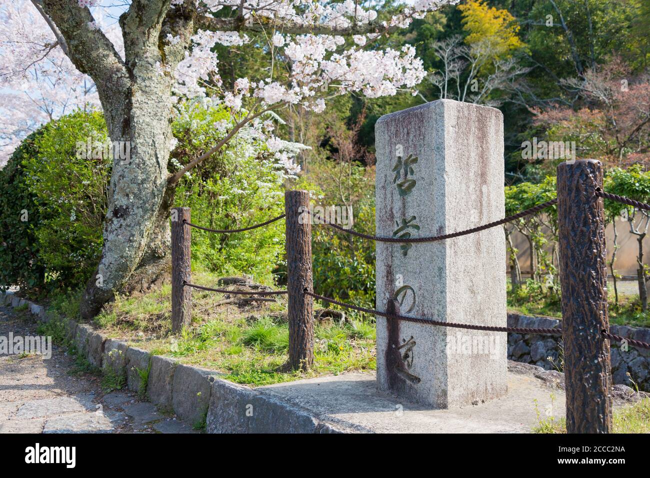 Kyoto, Giappone - Filosofia a piedi (Tetsugaku-no-michi) a Kyoto, Giappone. Si tratta di un sentiero pedonale che segue un canale costeggiato da alberi di ciliegio a Kyoto. Foto Stock