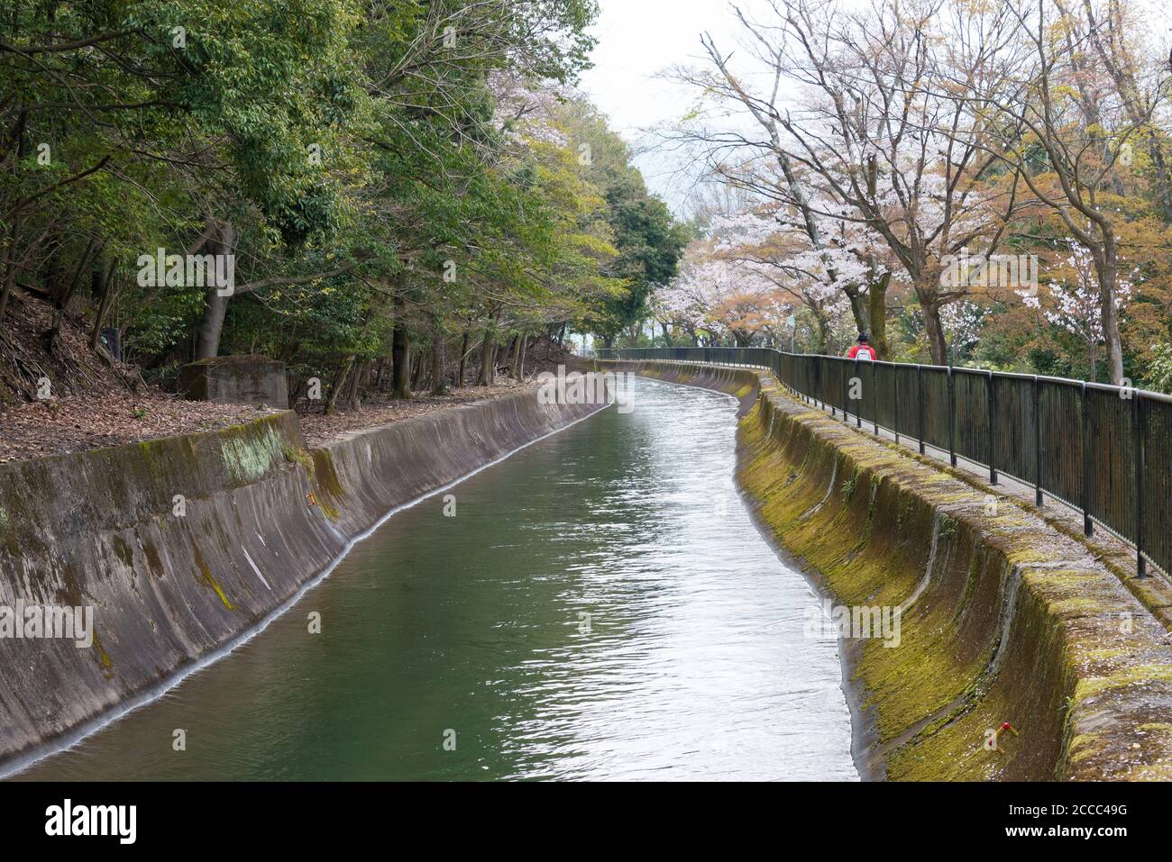 Kyoto, Giappone - Lago Biwa Canal (Biwako Sosui) a Yamashina, Kyoto, Giappone. Lago Biwa Canal è un canale navigabile in Giappone. Foto Stock