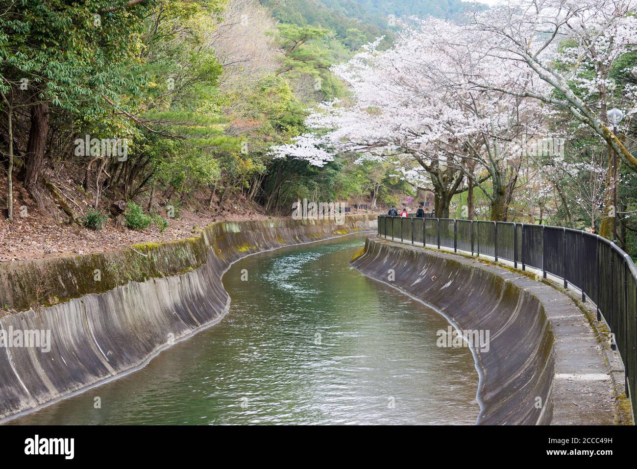 Kyoto, Giappone - Lago Biwa Canal (Biwako Sosui) a Yamashina, Kyoto, Giappone. Lago Biwa Canal è un canale navigabile in Giappone. Foto Stock