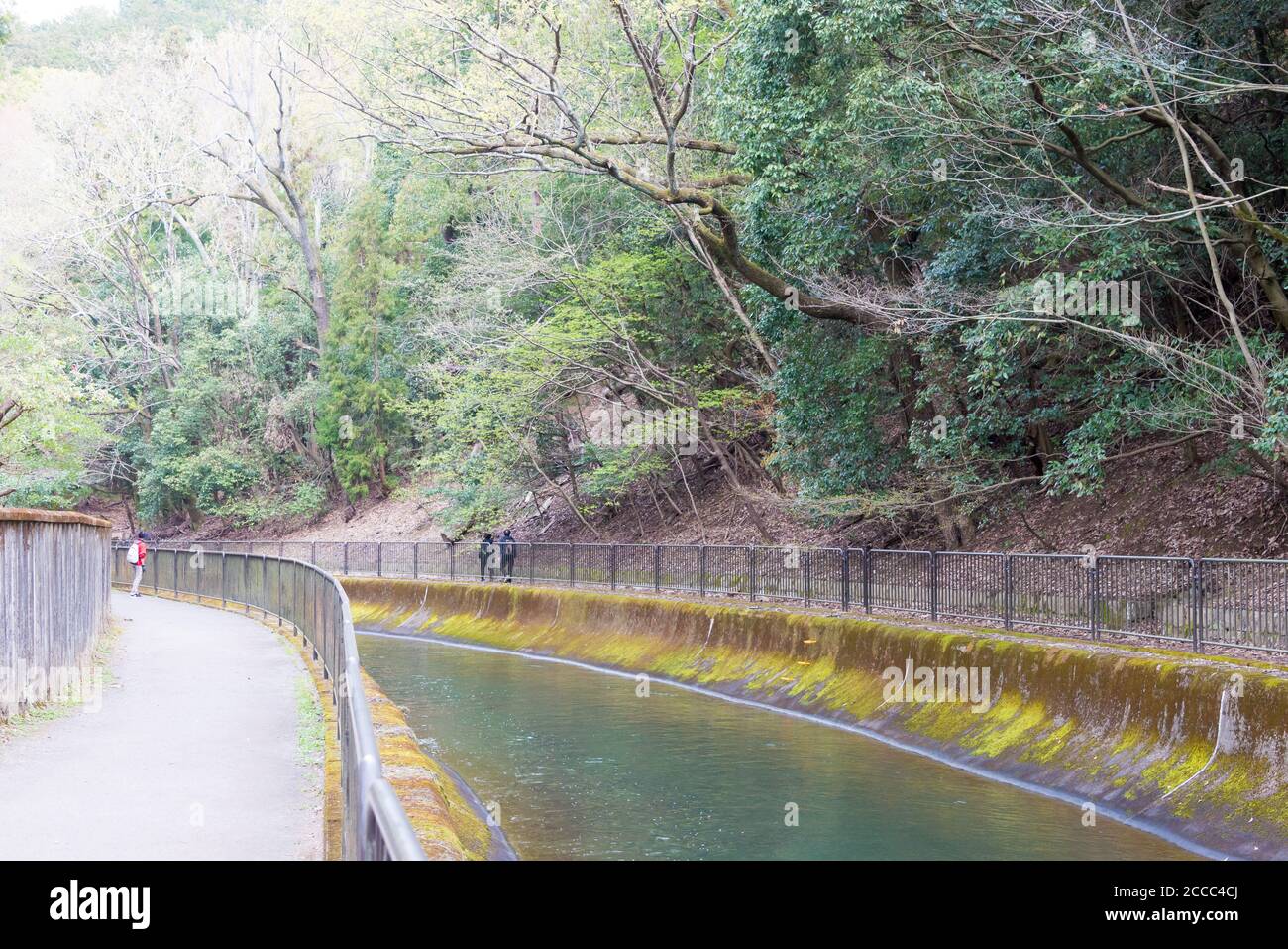 Kyoto, Japan - Mar 31 2020 - Lago Biwa Canal (Biwako Sosui) a Yamashina, Kyoto, Giappone. Il canale del lago di Biwa è un canale d'acqua costruito durante il Giappone Foto Stock