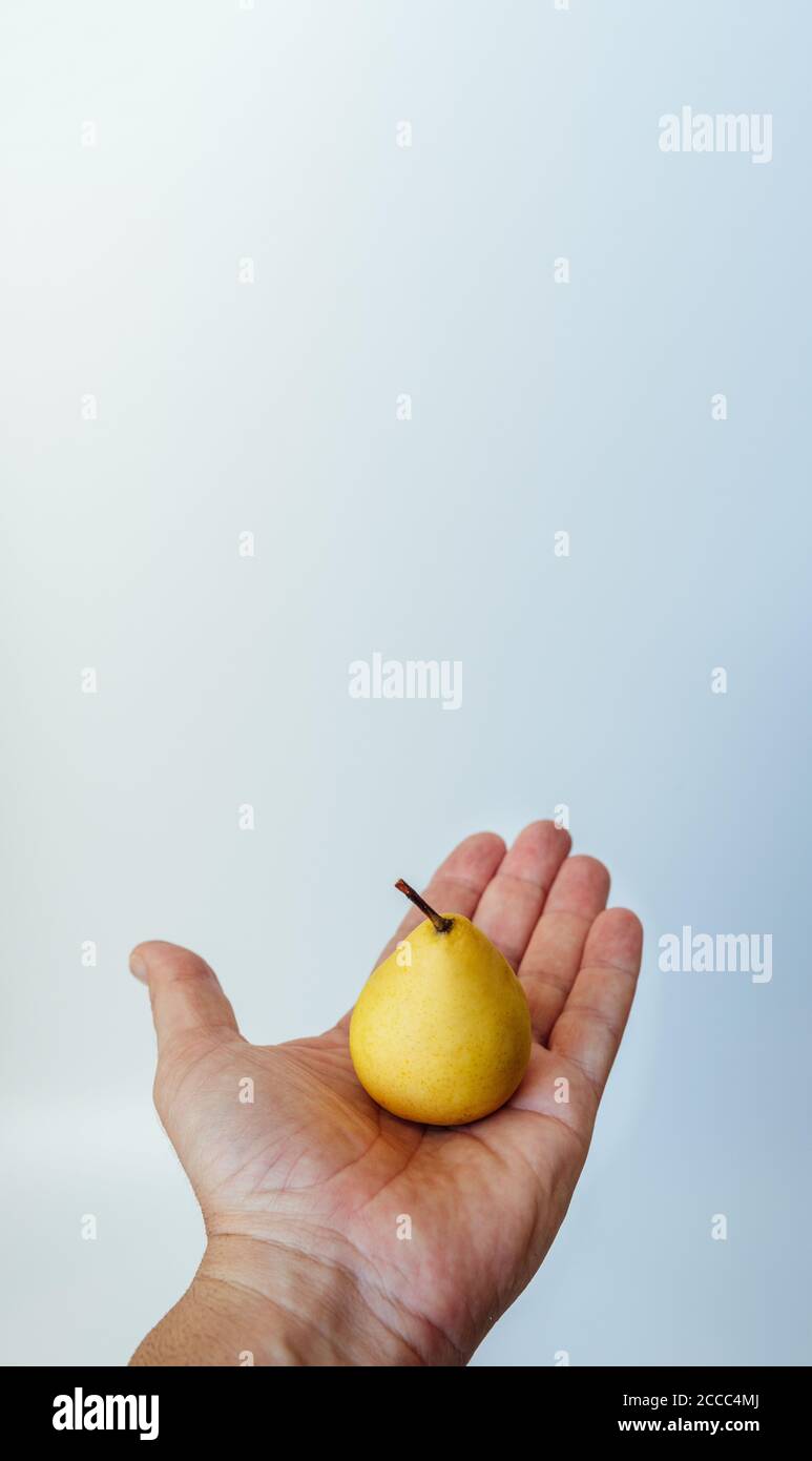 piccola pera gialla sul palmo dell'uomo isolata su sfondo bianco. copia spazio Foto Stock