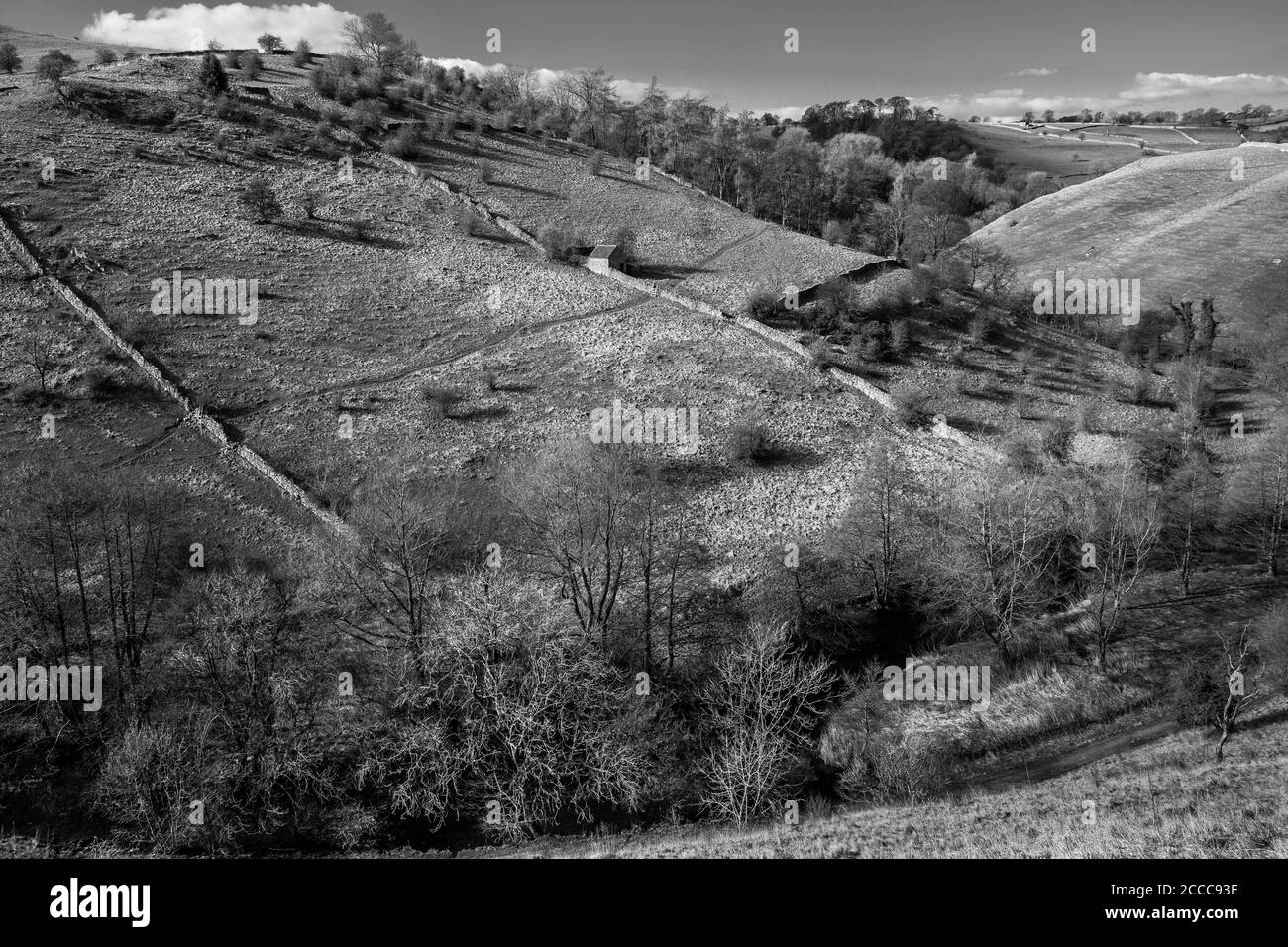 Colomba Valley vicino a Milldale, Parco Nazionale di Peak District, Derbyshire Foto Stock
