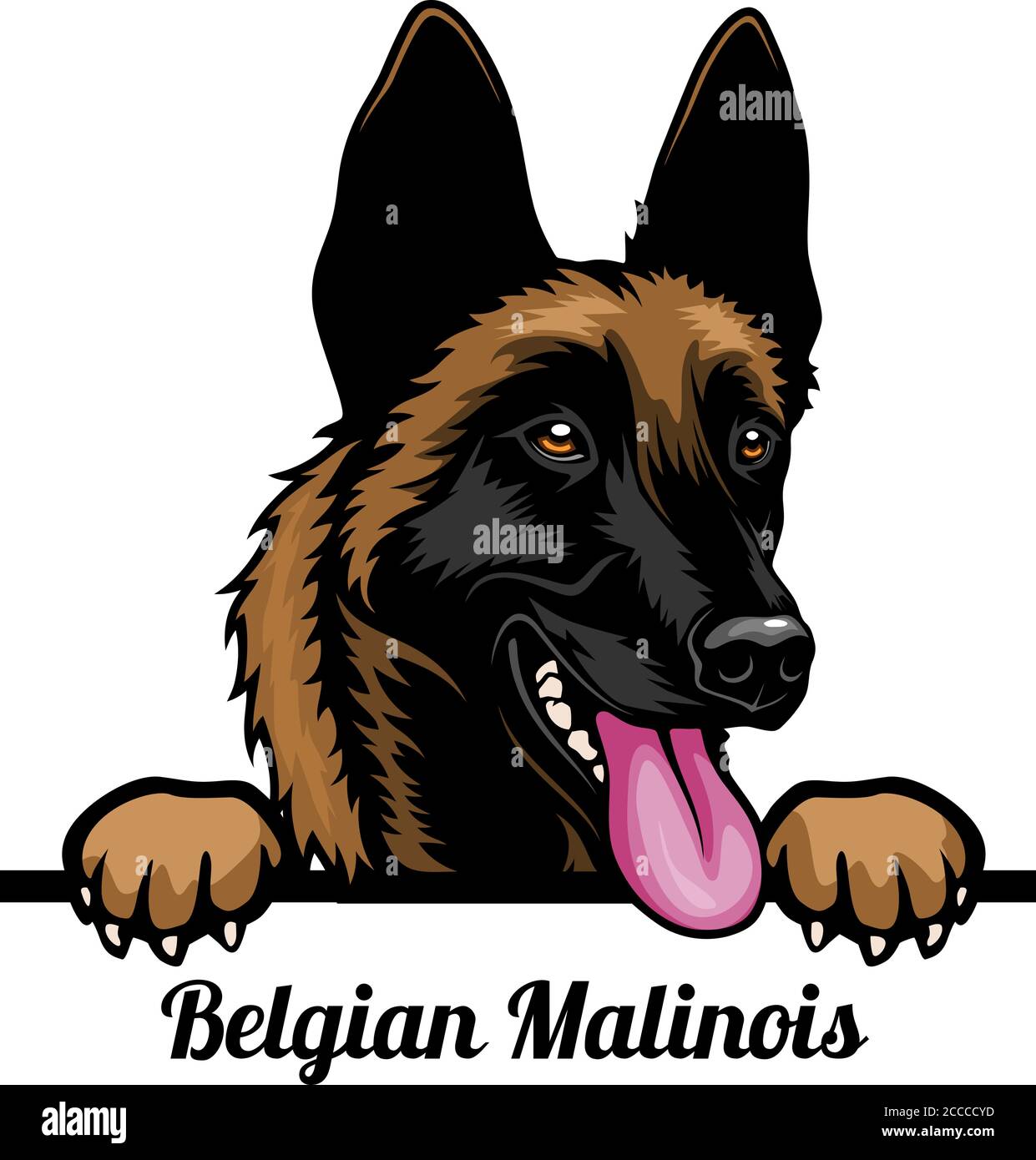 Belgian Malinois - Color Peeking Dogs - razza testa faccia isolato su bianco Illustrazione Vettoriale