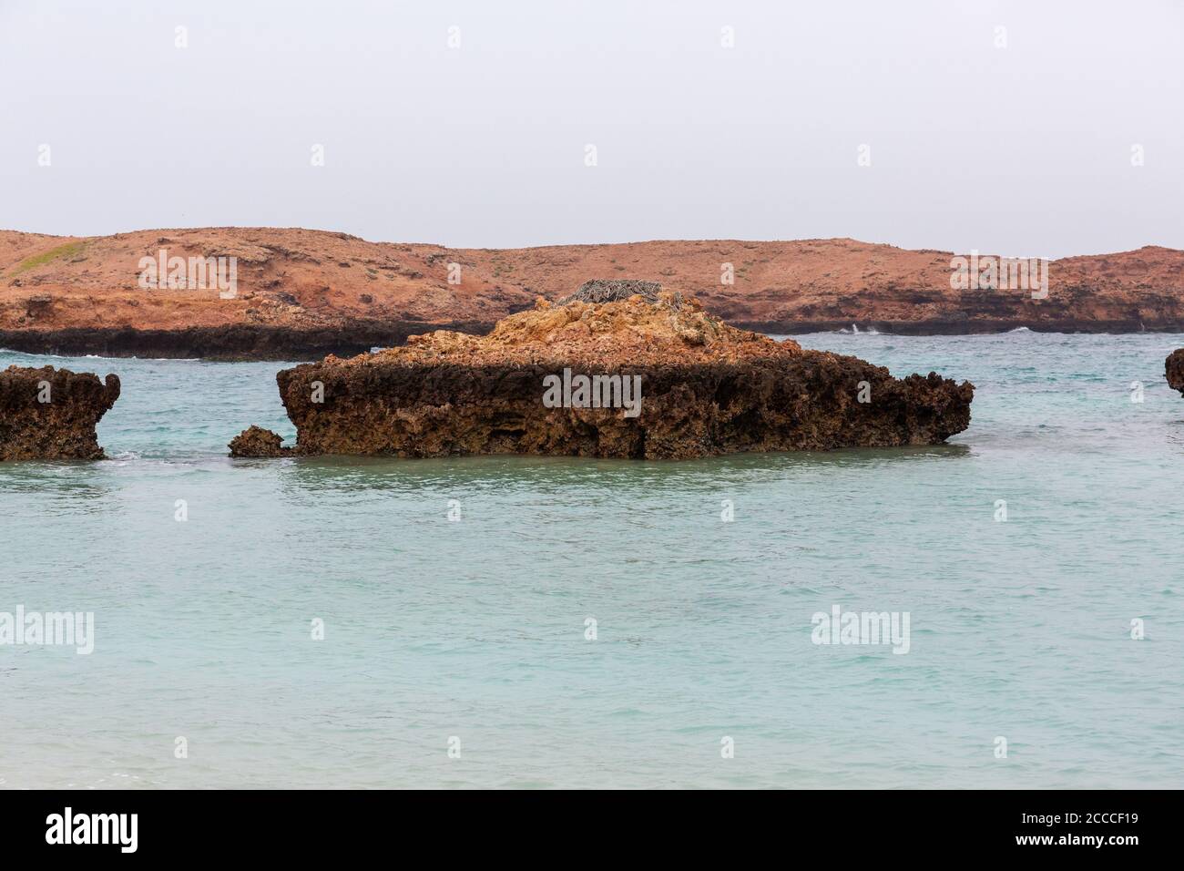 Riserva naturale delle Isole Daymaniyat, Oman Foto Stock