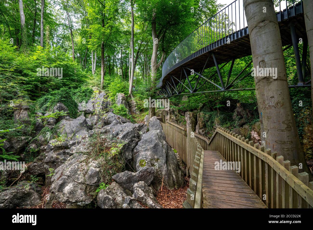 Il Felsenmeer in Hemer, Sauerland, geotopo, con formazioni rocciose, riserva naturale, NRW, Germania Foto Stock