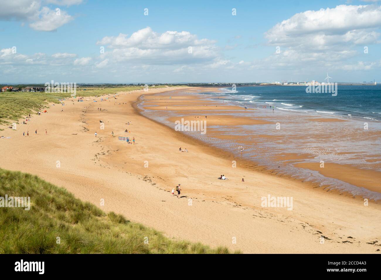 Persone che godono di sole estivo sulla spiaggia a nord di Seaton Sluice, Northumberland, Inghilterra, Regno Unito Foto Stock