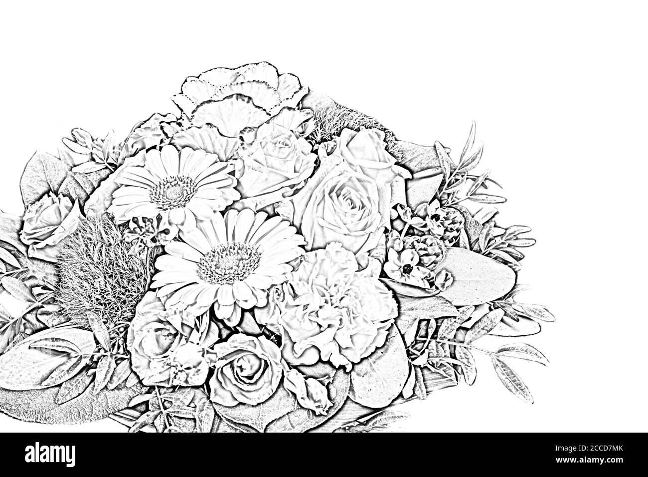 Bouquet di fiori con disegno a matita. Foto Stock