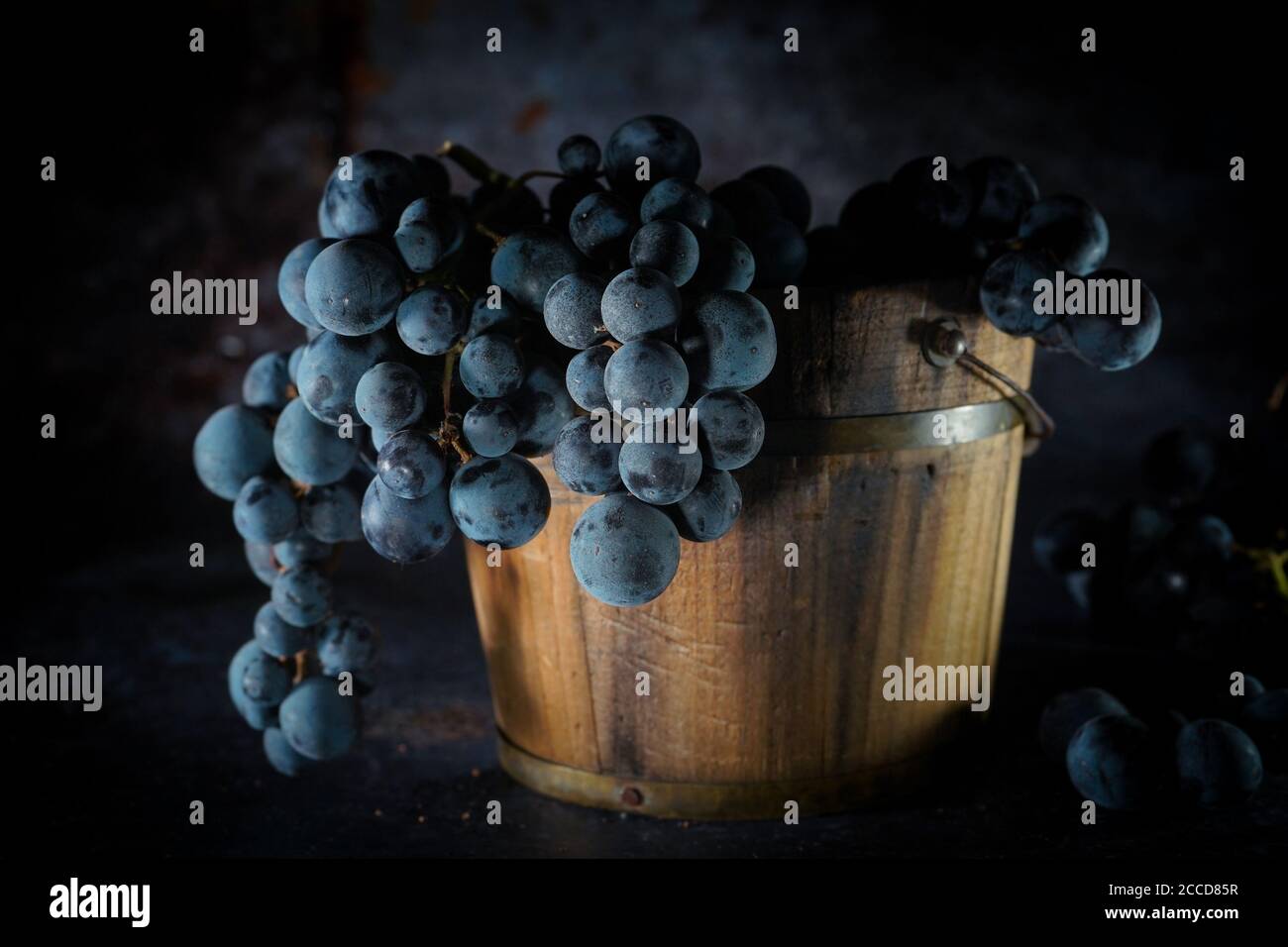 Fresh Concord Graphes ancora vita su sfondo scuro moody Foto Stock