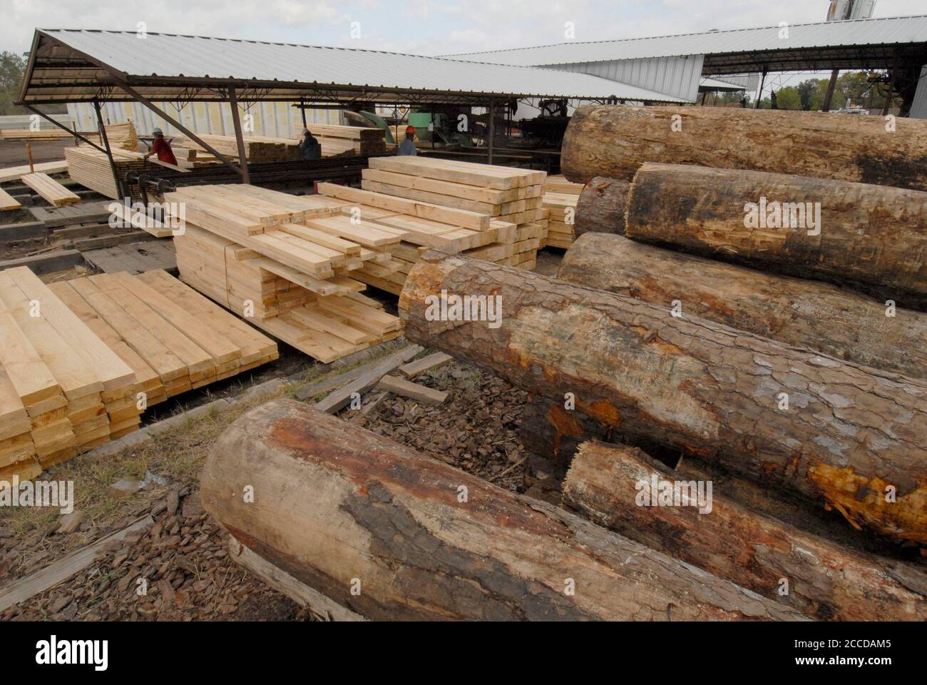 Orange, TX USA, 10 novembre 2006: Legname grezzo e finito alla Rogers Lumber Company. Rogers Lumber Co. Elabora legname di pino in tavole da taglio grezzo per le industrie di costruzione e di autocarro. ©Bob Daemmrich Foto Stock