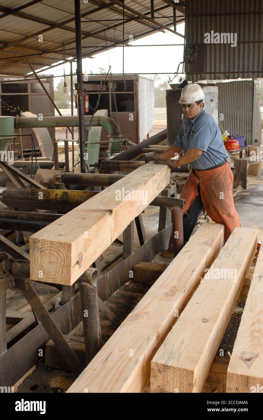 Orange, TX 10 novembre 2006: Un pezzo di legno di pino 6'X6' tagliato a Rogers Lumber Company. L'azienda elabora legname di pino in tavole da taglio per l'industria edile commerciale. ©Bob Daemmrich Foto Stock