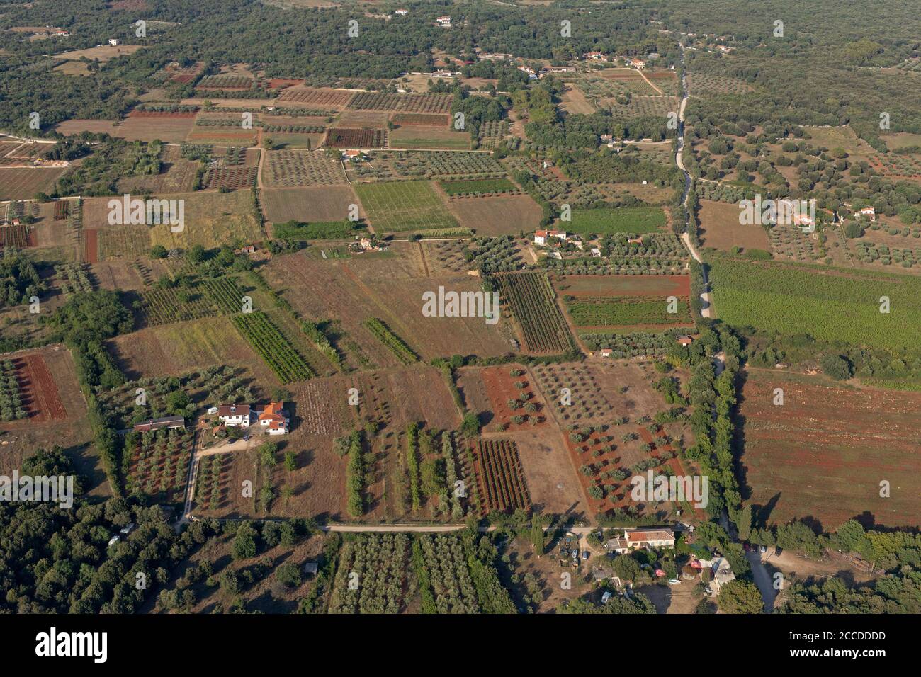 Foto aerea, campi vicino a Rovigno, Istria, Croazia Foto Stock