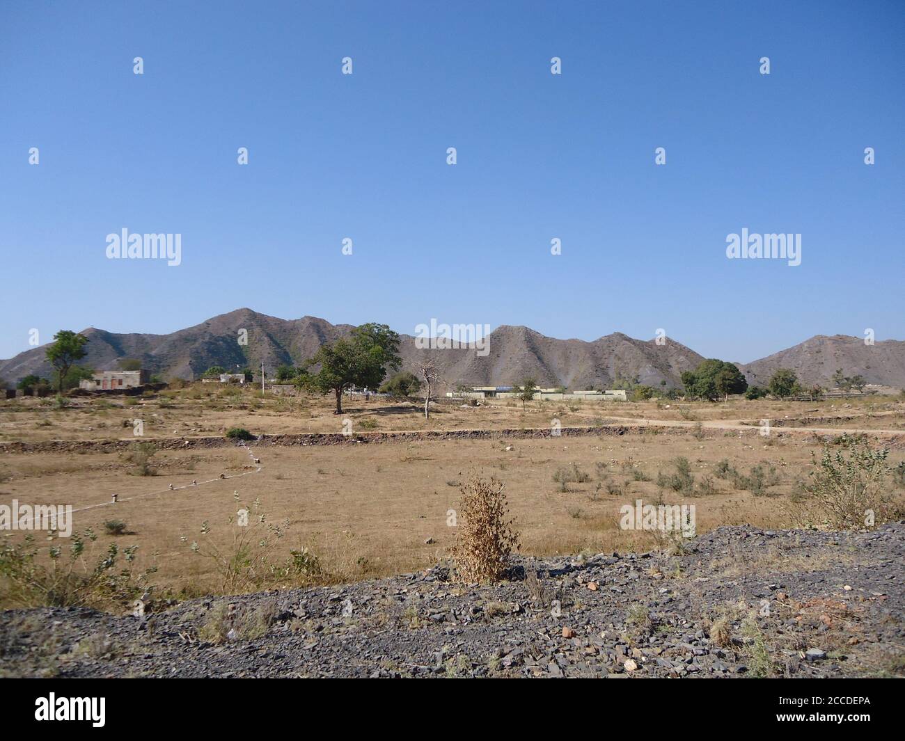 paesaggio del deserto del thar sulla strada per kumbhalgarh Foto Stock